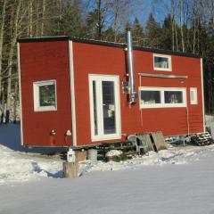 Stuga med bastu i naturen nära Stockholm