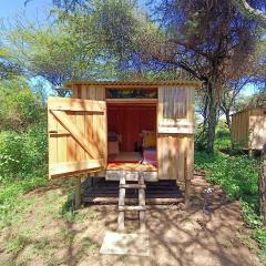 Majimoto Bushpig Camp