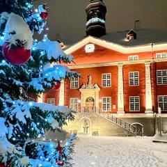 Town Hall Square Panorama