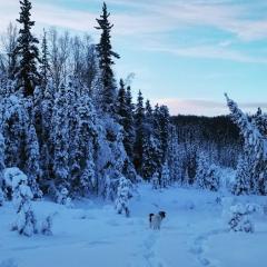 Aurora Outpost Alaska - Off-Grid Cabin on 100 Acres with Cedar Hot-Tub & Views