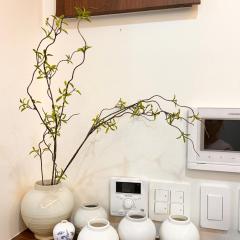 스테이 피올라 동대문