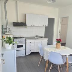 Departamento luminoso