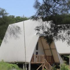 Dieng glamping syari'ah