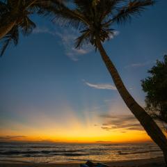 LIYA BEACH- Luxury Beachfront Hotel in Ahangama