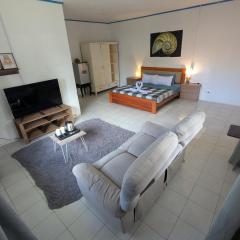 Crazy Bears Guesthouse