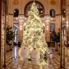 The Marmorosch Bucharest, Autograph Collection