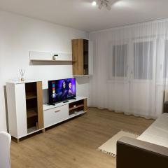 Apartament Central Atin - 3 camere