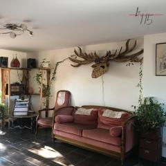 Le 115 Retour aux Sources