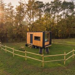 Homnest - Refuge en nature au coeur du Tarn