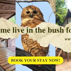 Pafuri Accommodation Rivercamp