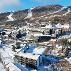 Central apartment - walking distance to everything