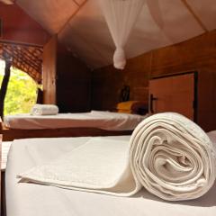 Elephant point tree house