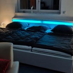 Grüne Auszeit Dresden 2