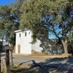 El Castañero Only Adults