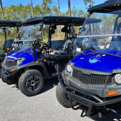 Charming Retreat, a Short Walk to Laguna Beach, with Room for 10!