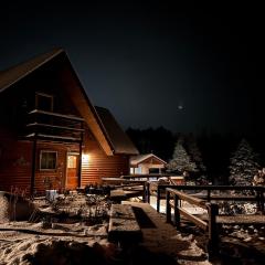 Cabin, Hot Tub, Game Room, No Bunkbeds, Winter Retreat