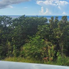 Chambre indépendante calme pour femmes, en forêt, 1km plage