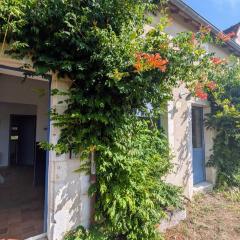 Deux maisons berrichonnes avec jardin privatif et cour partagée, idéale pour les groupes - FR-1-591-617