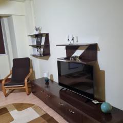 Studio Ultracentral Calea Bucuresti