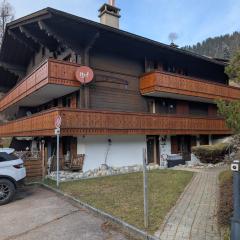 Grand appartement moderne au cœur des Diablerets