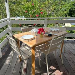 Grand studio Plaisance et Fleurs