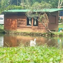 Sapiens house cabaña del lago clásica