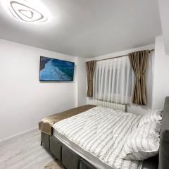 Modern Studio Cetate