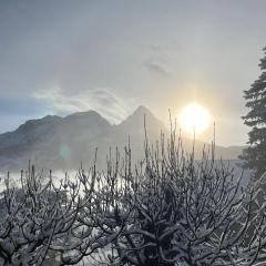 Joli demi-chalet en nature, capacité familiale - FR-1-165A-117