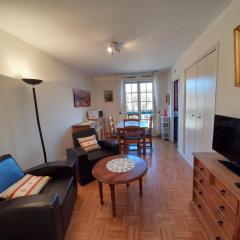 Appartement lumineux T2 avec Wi-Fi et lave-linge, centre La Roche-Posay - FR-1-541-182