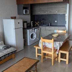 Appartement 7 pers lumineux, proche pistes - FR-1-262-195