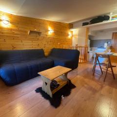 Pra-Loup 1600 : Appartement T2 à 50m des pistes pour 6 pers - FR-1-165A-209