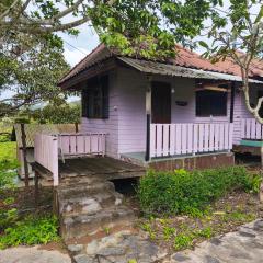 เขาค้อ ภูดาว Resort & Camping