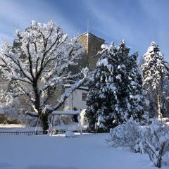 Urlaub in der Burg am Bodensee
