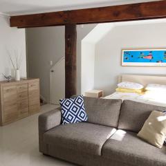 Relax in Titirangi Cozy Studio Apartment