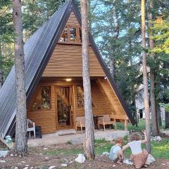 Vila Djordje Žabljak