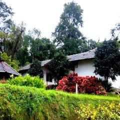 Aagani Gudda Nature Stay By StayApart