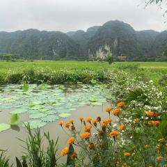 Mountain view Homestay