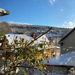 Ferienhaus Im Grünen