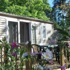 Chalet 3 étoiles - Piscine - ccaibfi