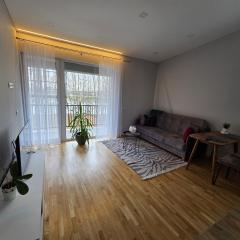 Jaukus butas Panemunėje su vaizdu į Nemuną