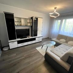 Big apartment for four