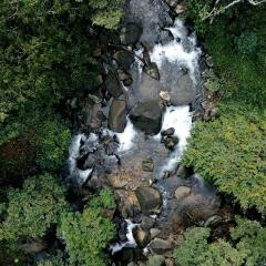 Hill Rows Plantation and Forest Experience By GreenEscapes