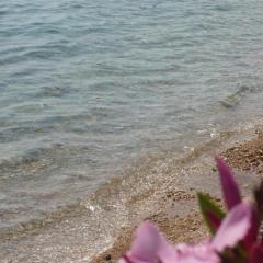 Gemütliche Ferienwohnung Für Drei Personen