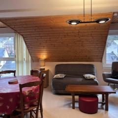 Confort familial à Cauterets, 4 pers., calme et bien situé - FR-1-812-75