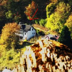 Ferienwohnung Chalet Wiedfluh In Waldbreitbach