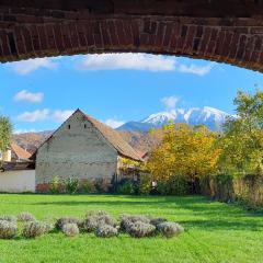 Curte la Munte - charming village house