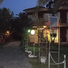 LEFKADIOS HERN studios