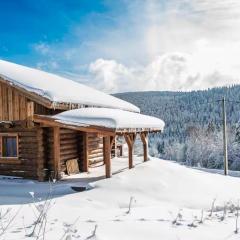 Chalet Serenity, Liézey - Gérardmer 9p - Spa