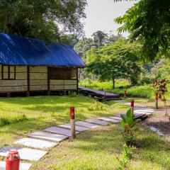 The Forest Elephant - Formerly known as the Flying Elephant