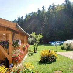 Ferienhaus In Röhrnbach Mit Grill Und Terrasse